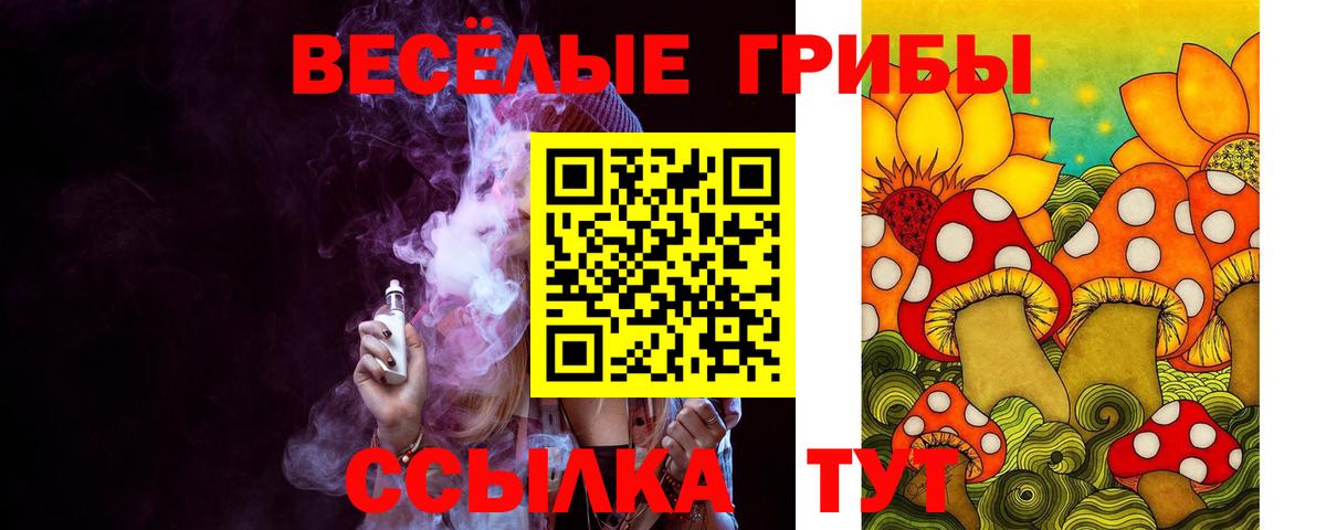 Галлюциногенные грибы MAGIC MUSHROOMS Петропавловск-Камчатский