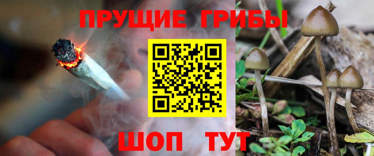 Галлюциногенные грибы MAGIC MUSHROOMS  Вход с VPN  Петропавловск-Камчатский 